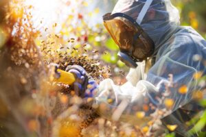 Pest Control photo from Adobe Stock