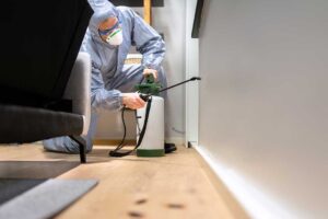 Pest Control photo from Adobe Stock