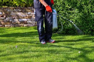 Pest Control photo from Adobe Stock