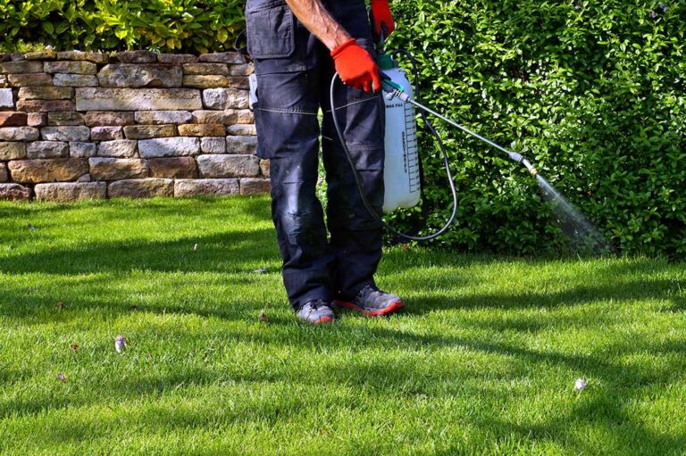 Pest Control photo from Adobe Stock