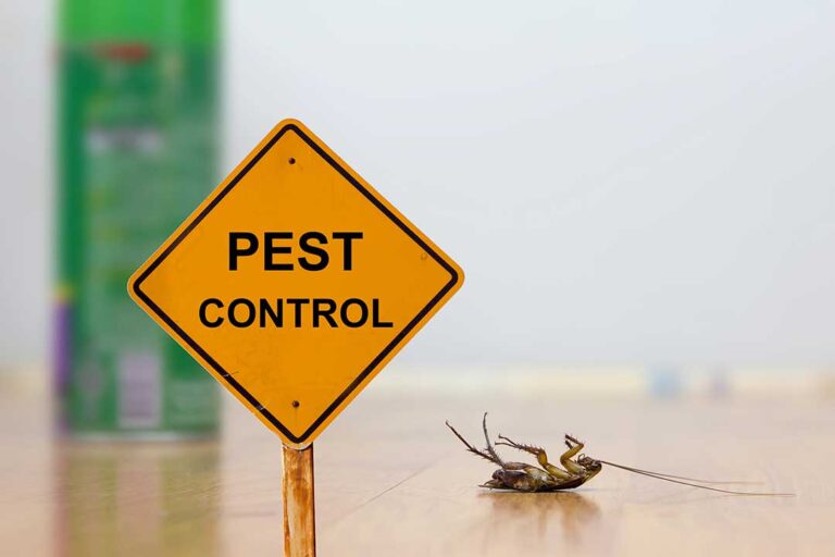 Pest Control photo from Adobe Stock