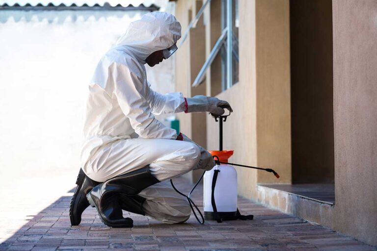 A person sealing window frames on a house exterior with caulk to prevent pest entry.